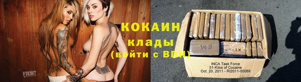 прущий лед Дмитриев