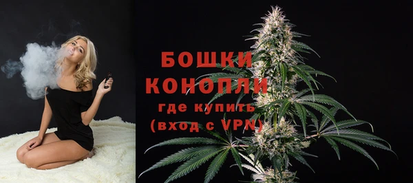 прущий лед Дмитриев