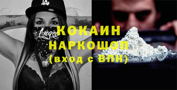 прущий лед Дмитриев
