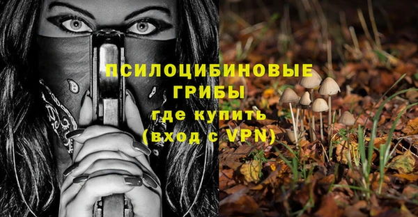 прущий лед Дмитриев