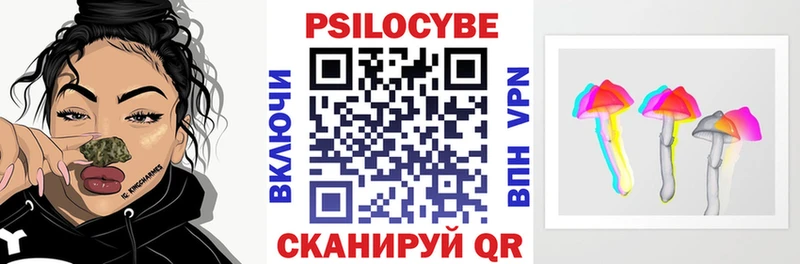 Купить где  Щигры  Псилоцибиновые грибы мухоморы 